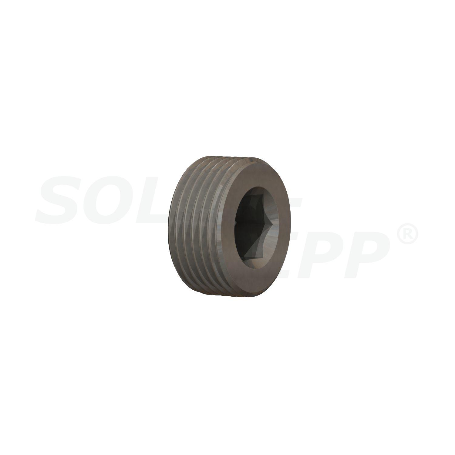 SOLAR-RIPP ® 3/4" schroefdraadplug van roestvrij staal